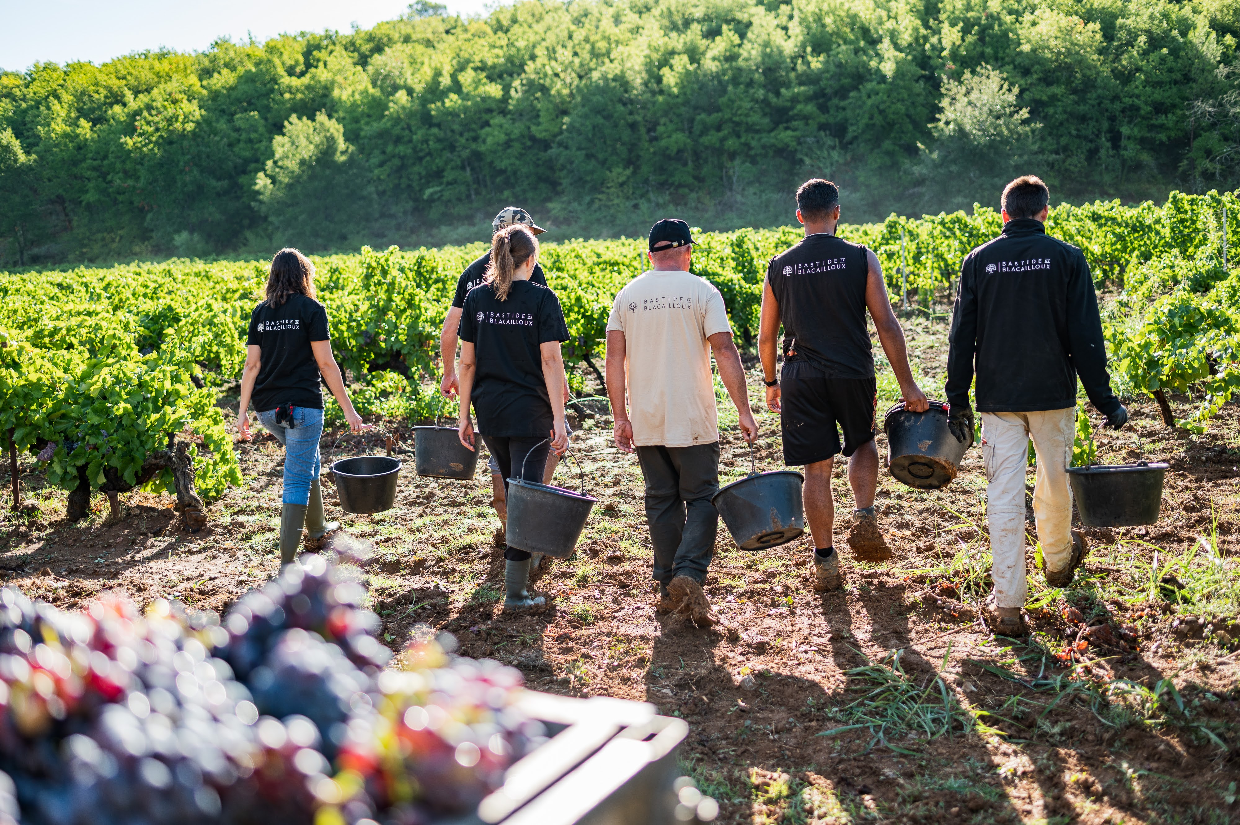 Bastide de Blacailloux - Tourves