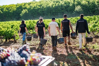 Bastide de Blacailloux - Tourves