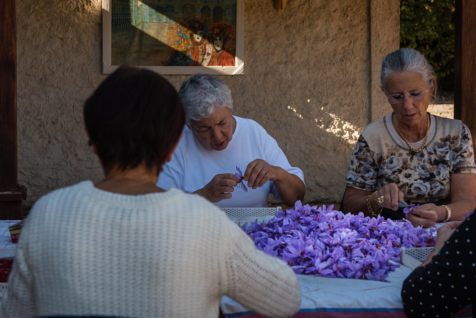 La Safranière du Mirandolier - Tourves