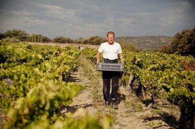 vendanges