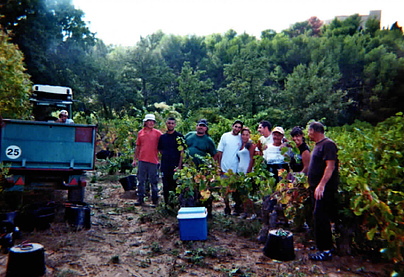 Les vendanges