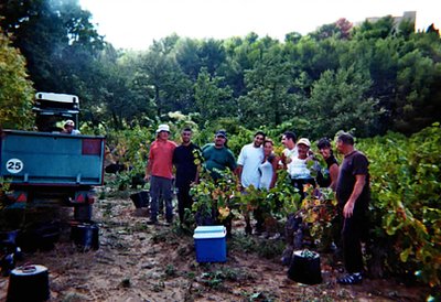 Les vendanges