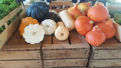 Le potager du Cabanon - Garéoult