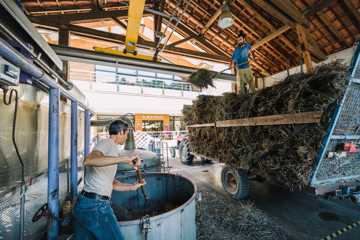 Distillerie Bleu Provence