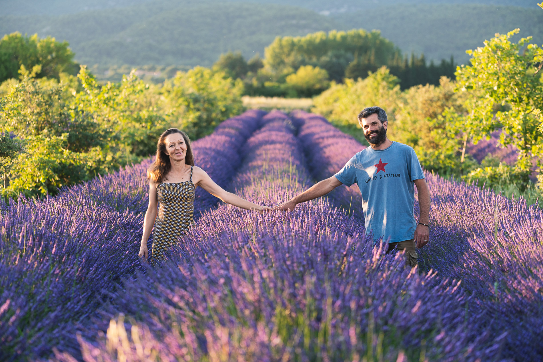 La Provence en Bouteille