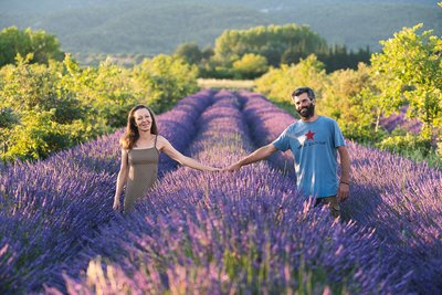 La Provence en Bouteille