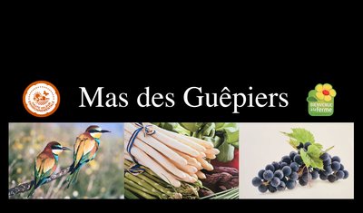 Mas des Guépiers_Mazan