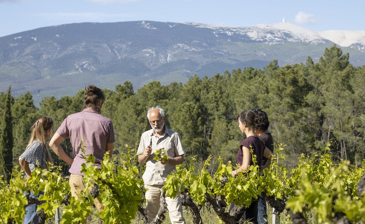 Domaine Childeric