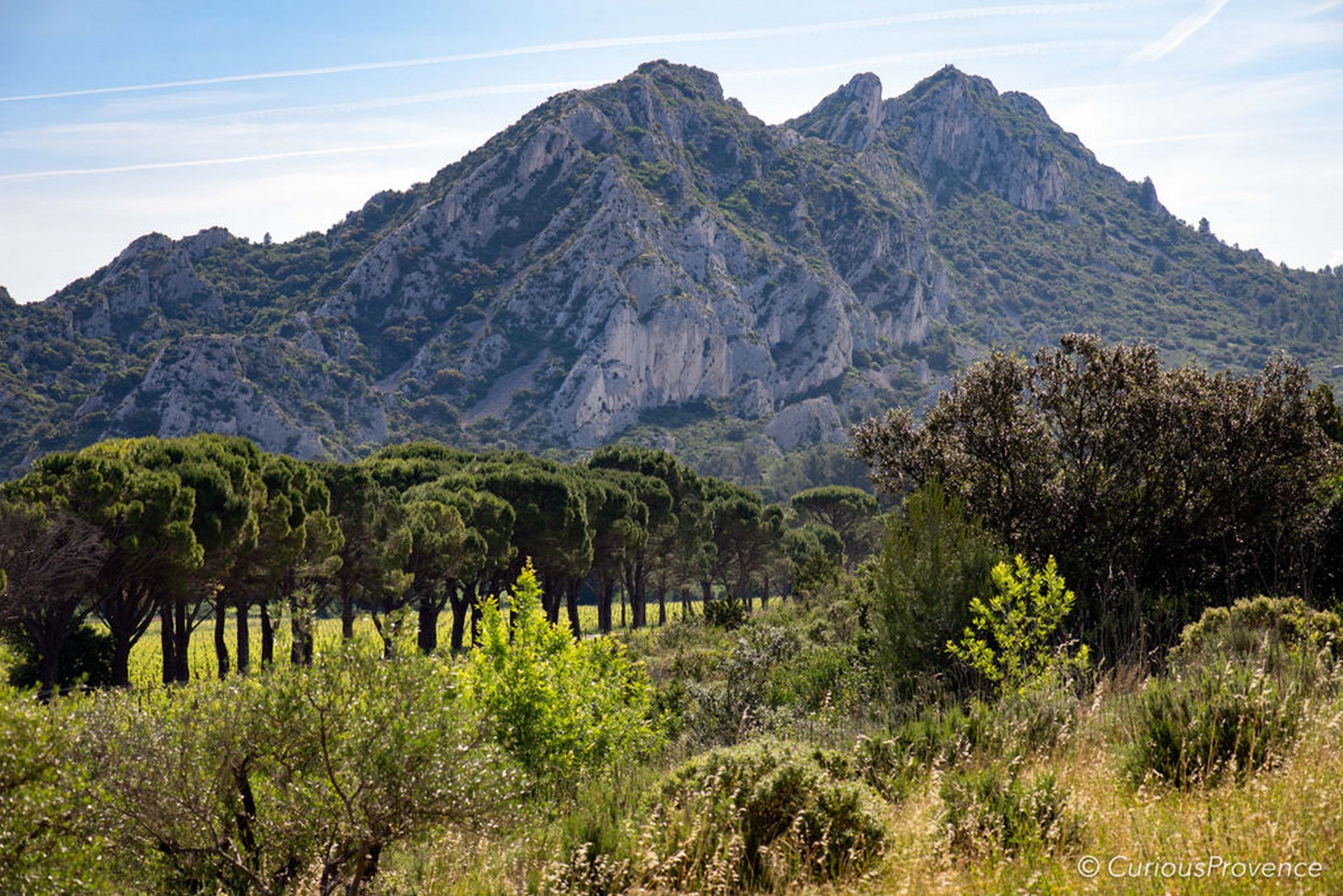 Domaine de la Vallongue Eygalières montagne