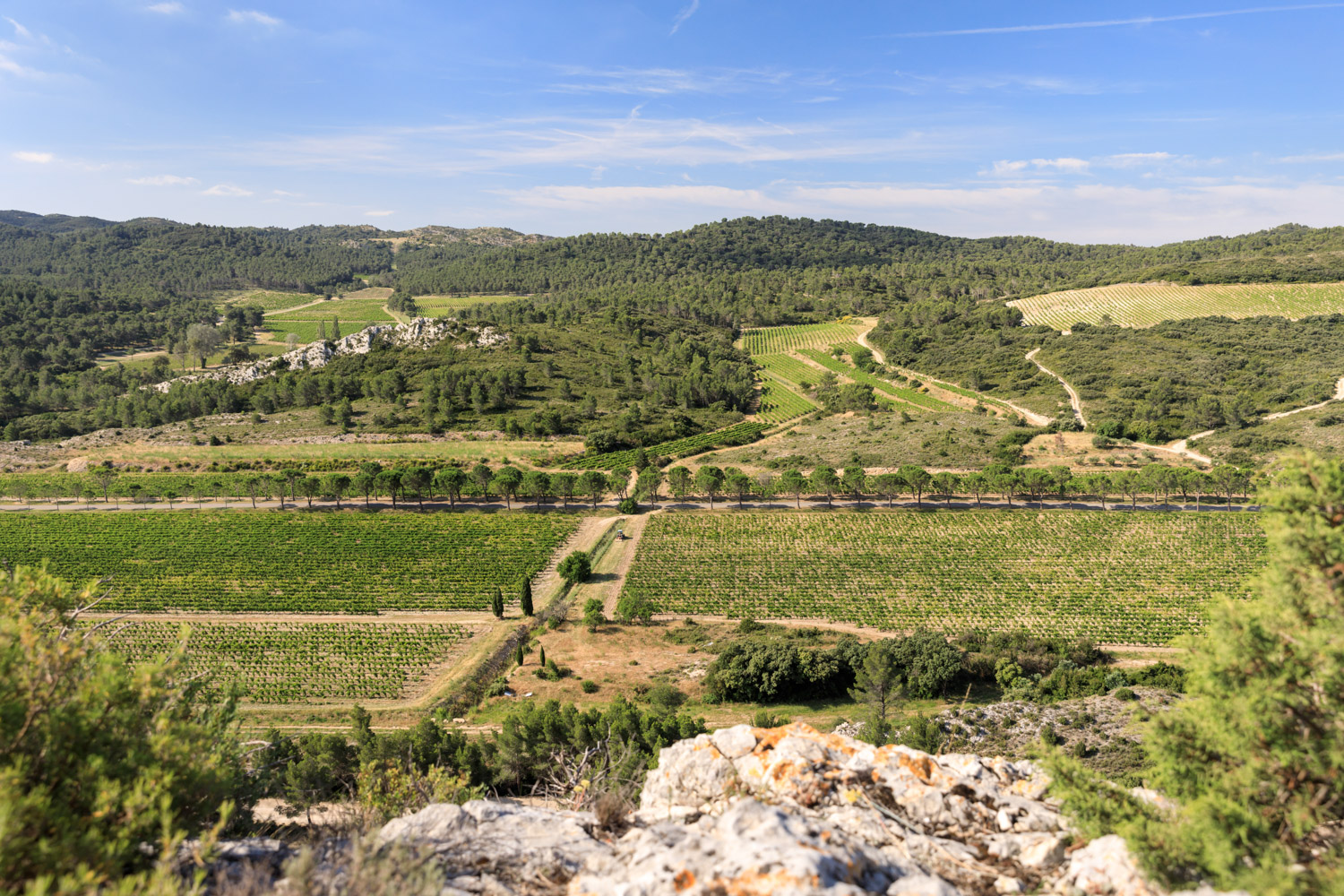 Domaine de la Vallongue à Eygalières