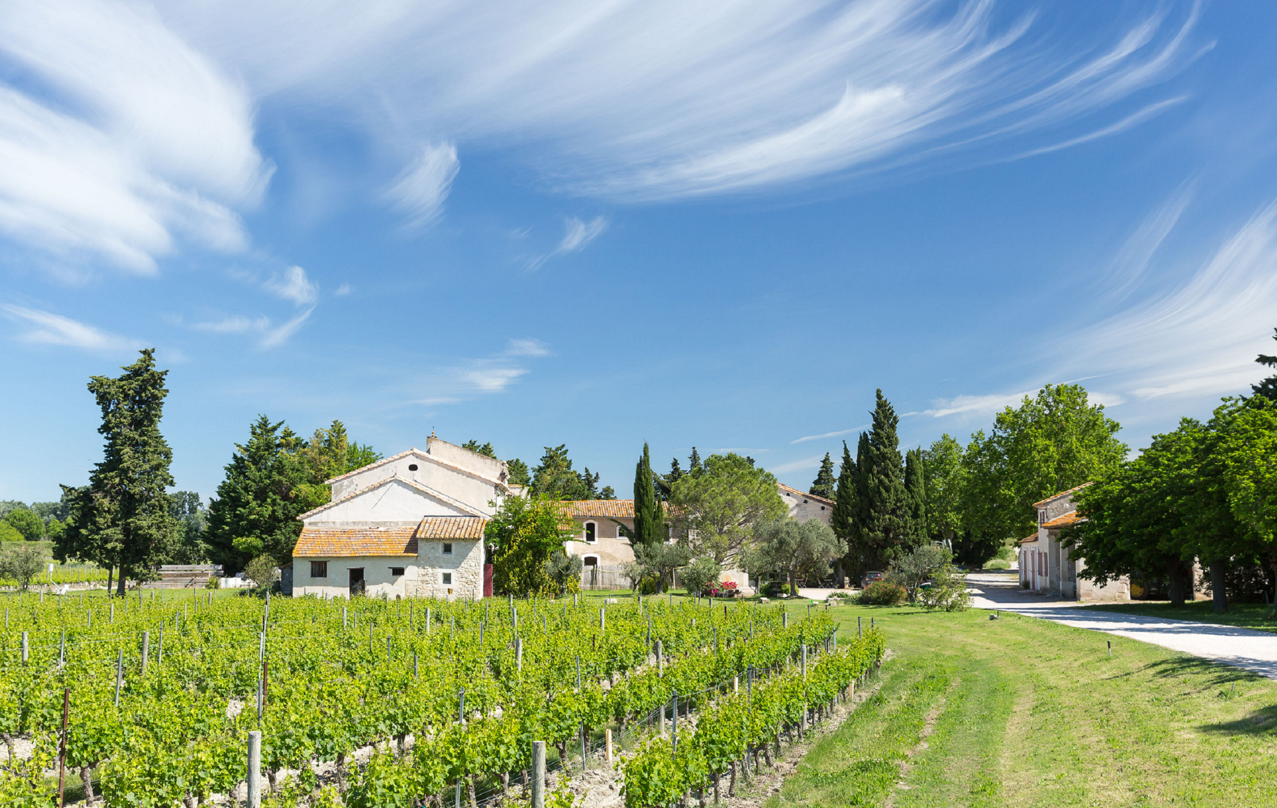 Domaine Mas de Rey Arles