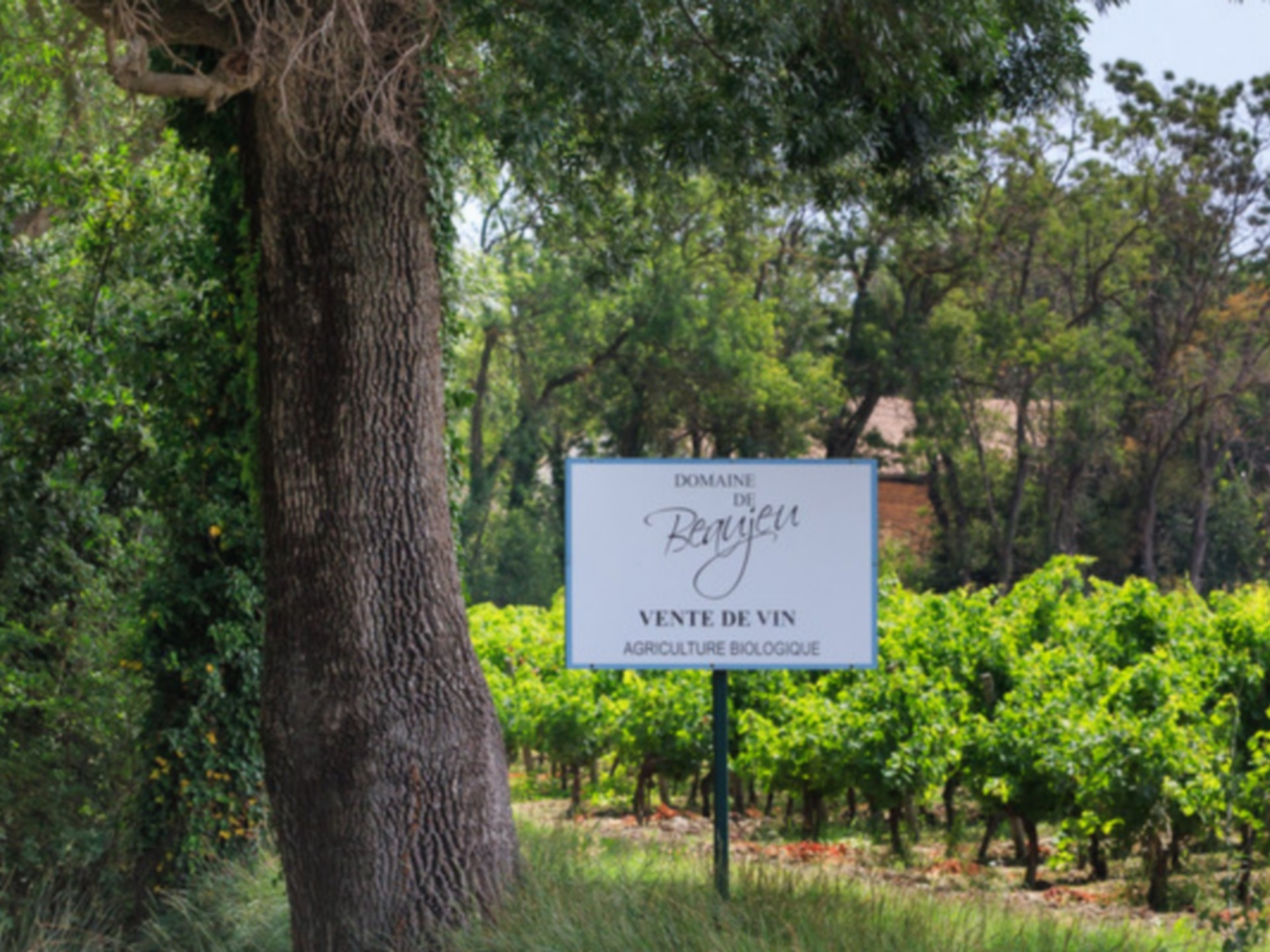 DOMAINE