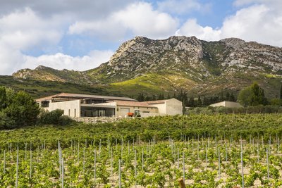 Domaine Vallon des Glauges à Eyguières Vignoble et bâtisse
