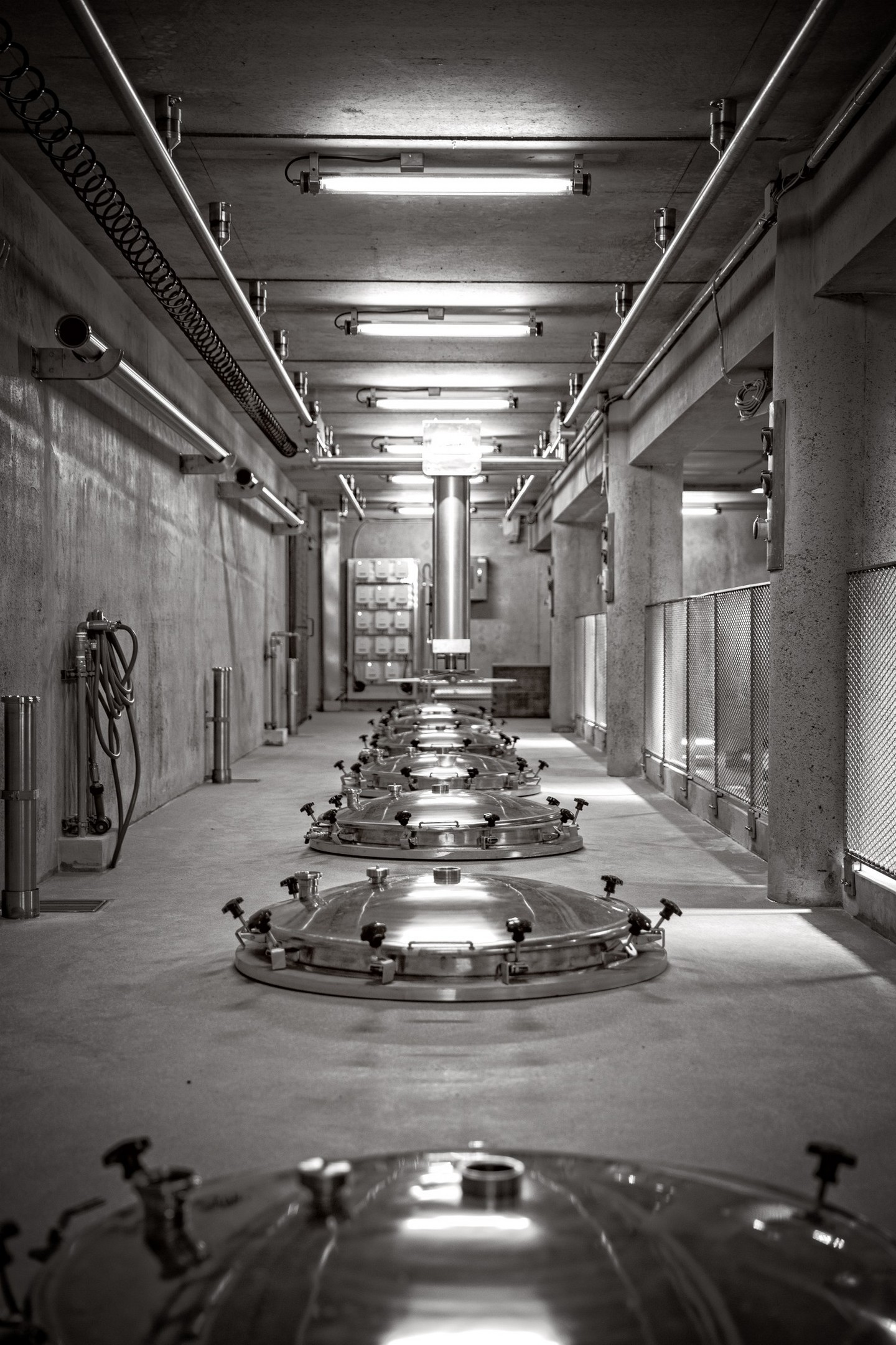 Vignoble Chateau Romanin à Saint-Rémy-de-Provence