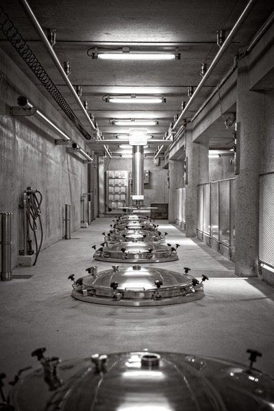 Vignoble Chateau Romanin à Saint-Rémy-de-Provence