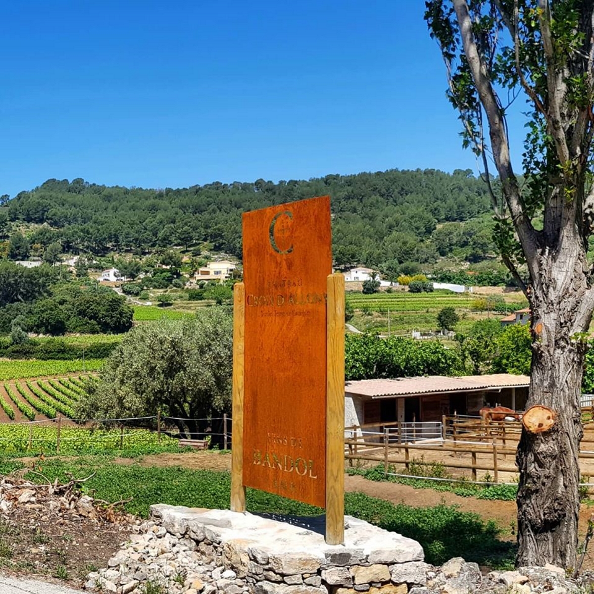 Extérieur & vignoble