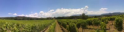 Terre de Gaulhem