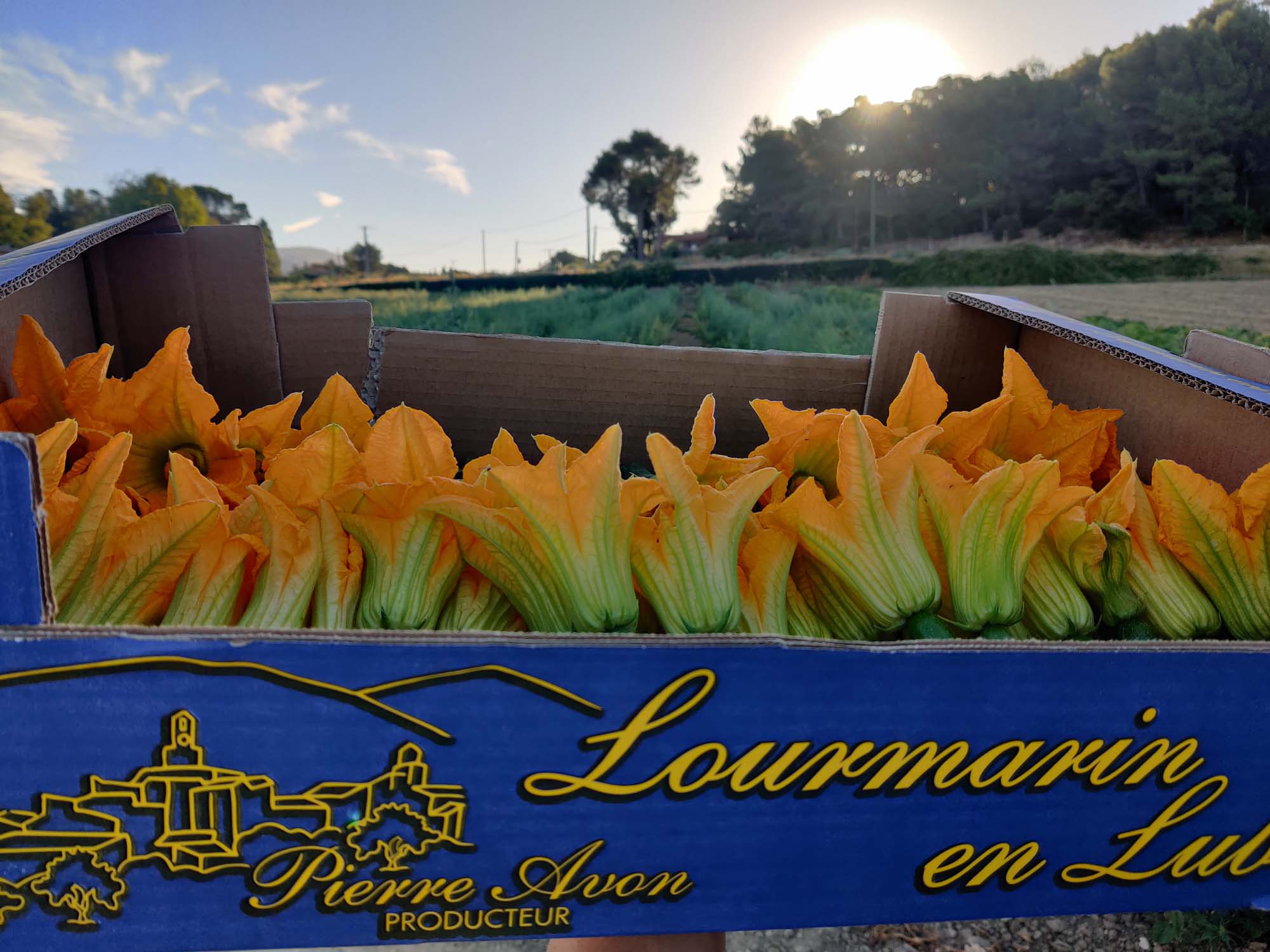Domaine La Corrée