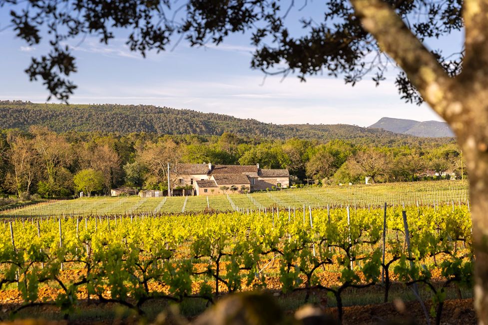 Domaine de Cala - Brignoles