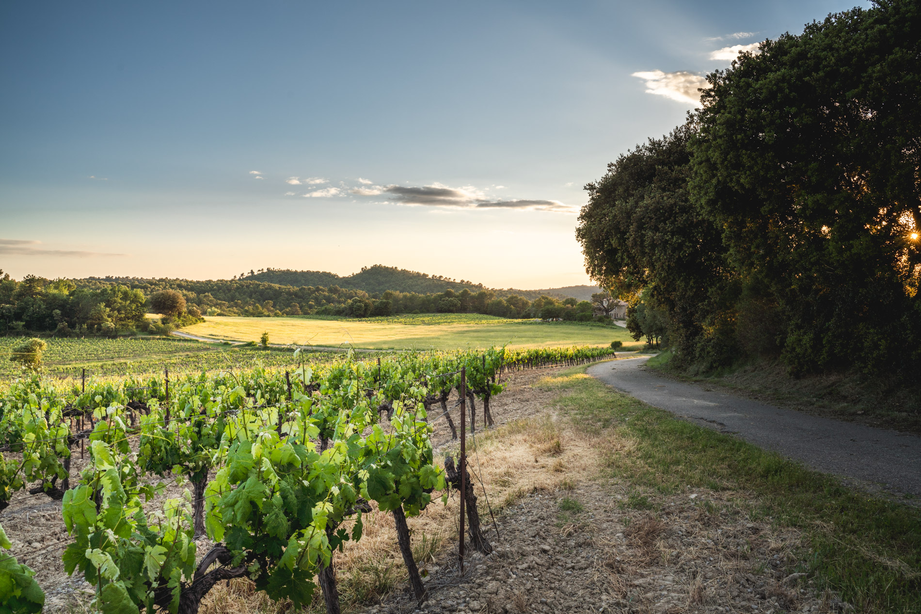 Domaine de Beauvence