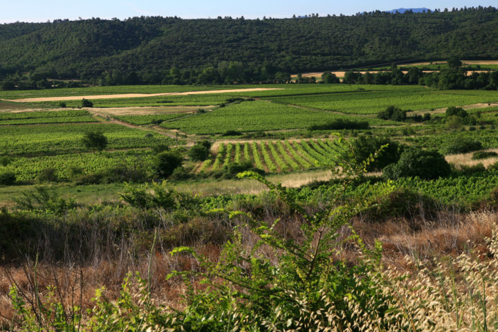 Cave de Saint André