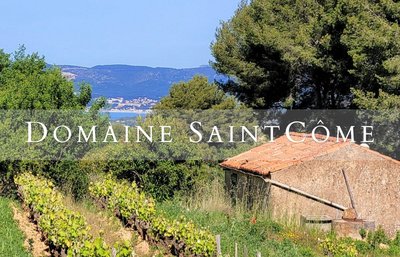 Vue Vignes et Mer