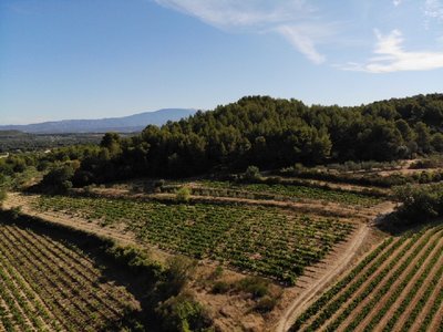 Notre terroir