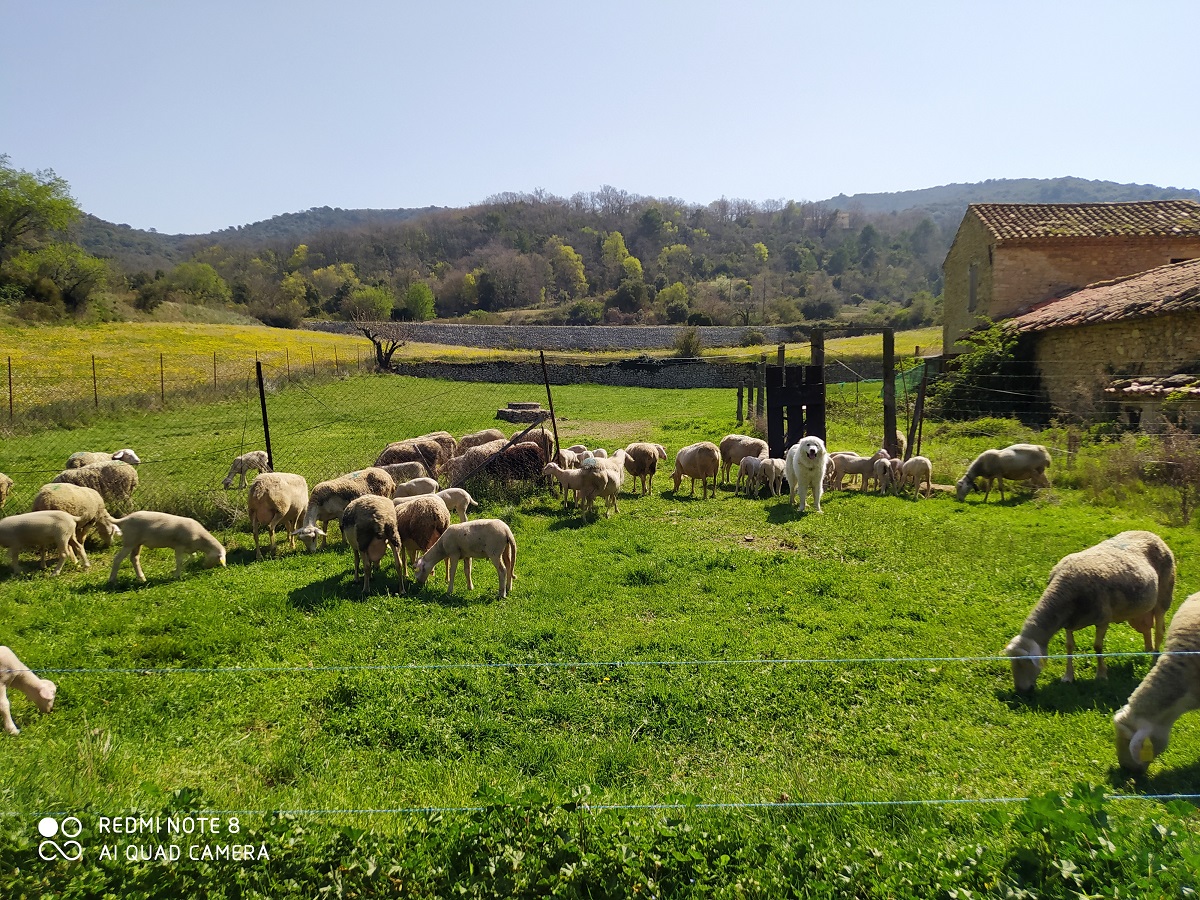 La Bergerie à l'entrée des Monts de Vaucluse