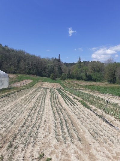 Les jardins d'Amishku - Tourves