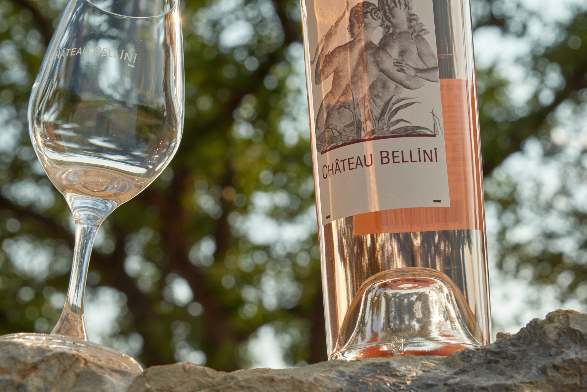 Château Bellini - Brignoles