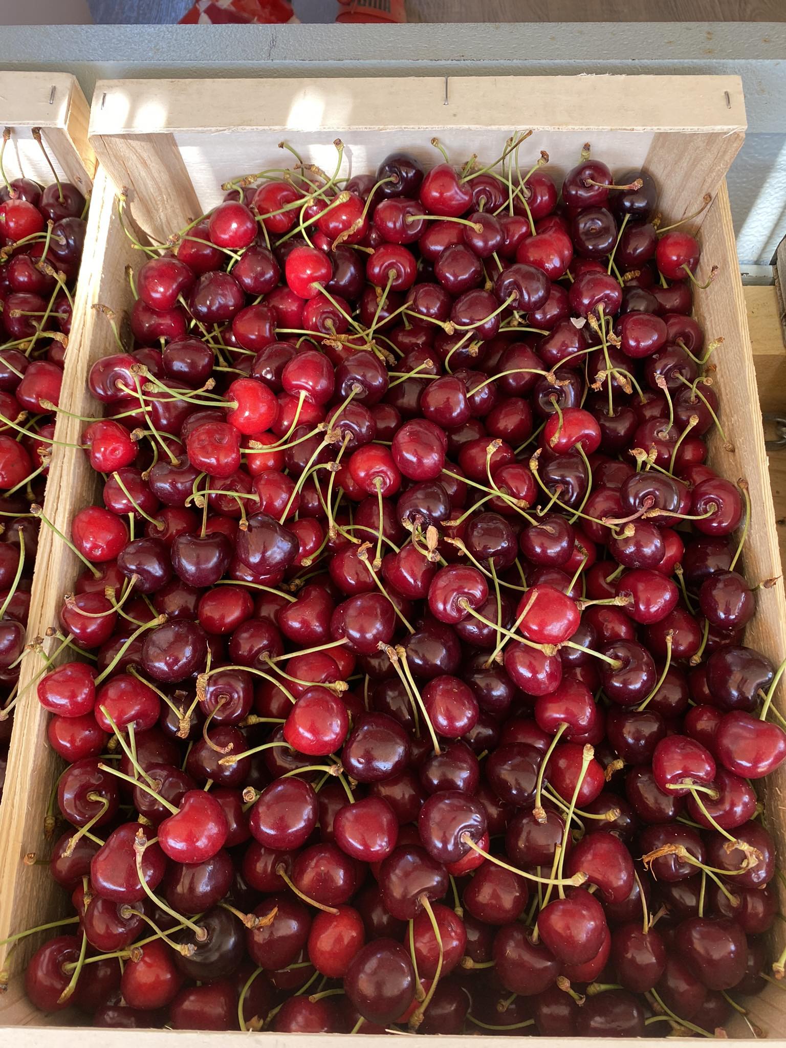 Cerises