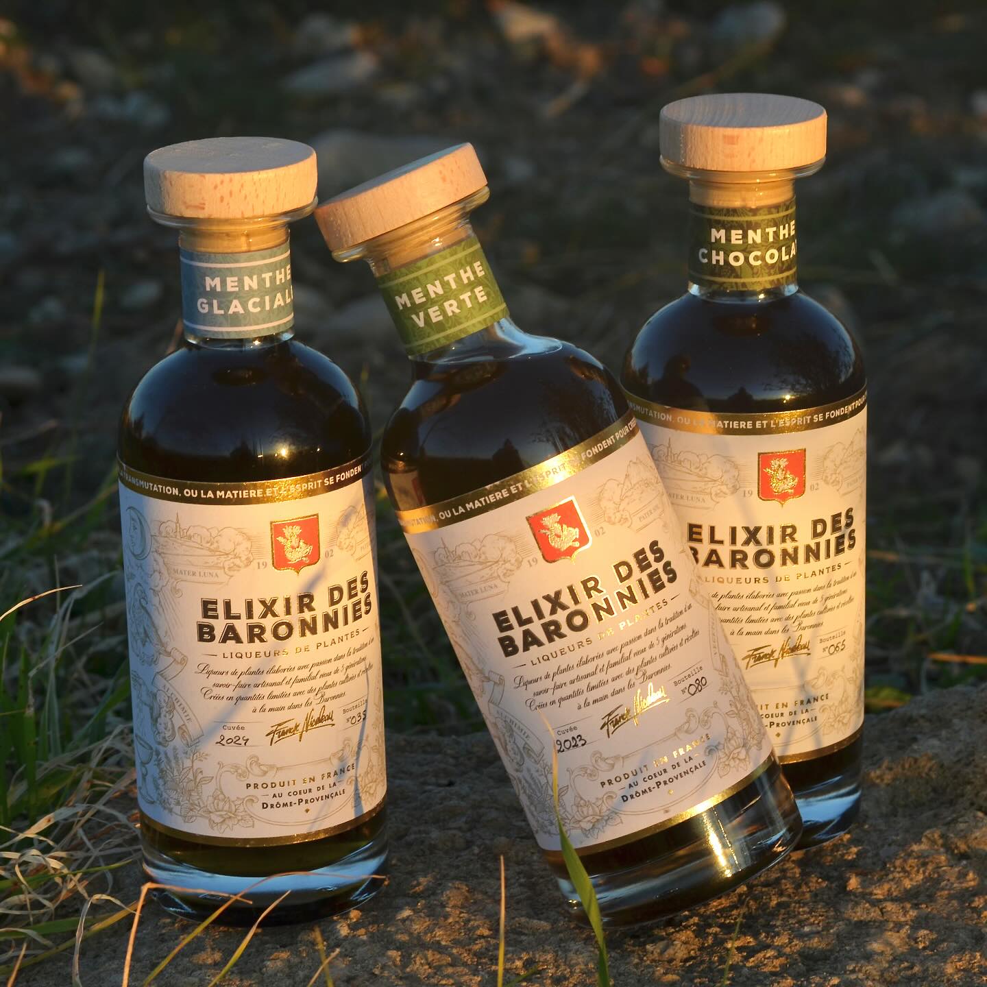 Domaine Nicoleau_Bénivay-Ollon