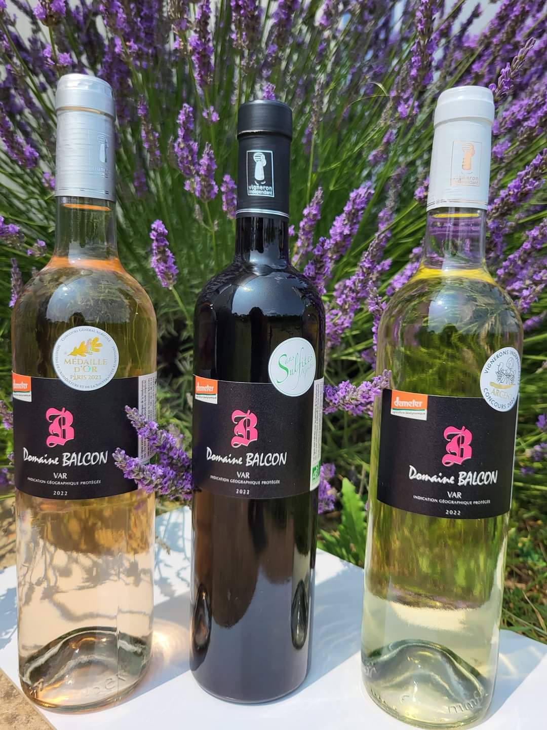 Domaine Balcon - Brignoles