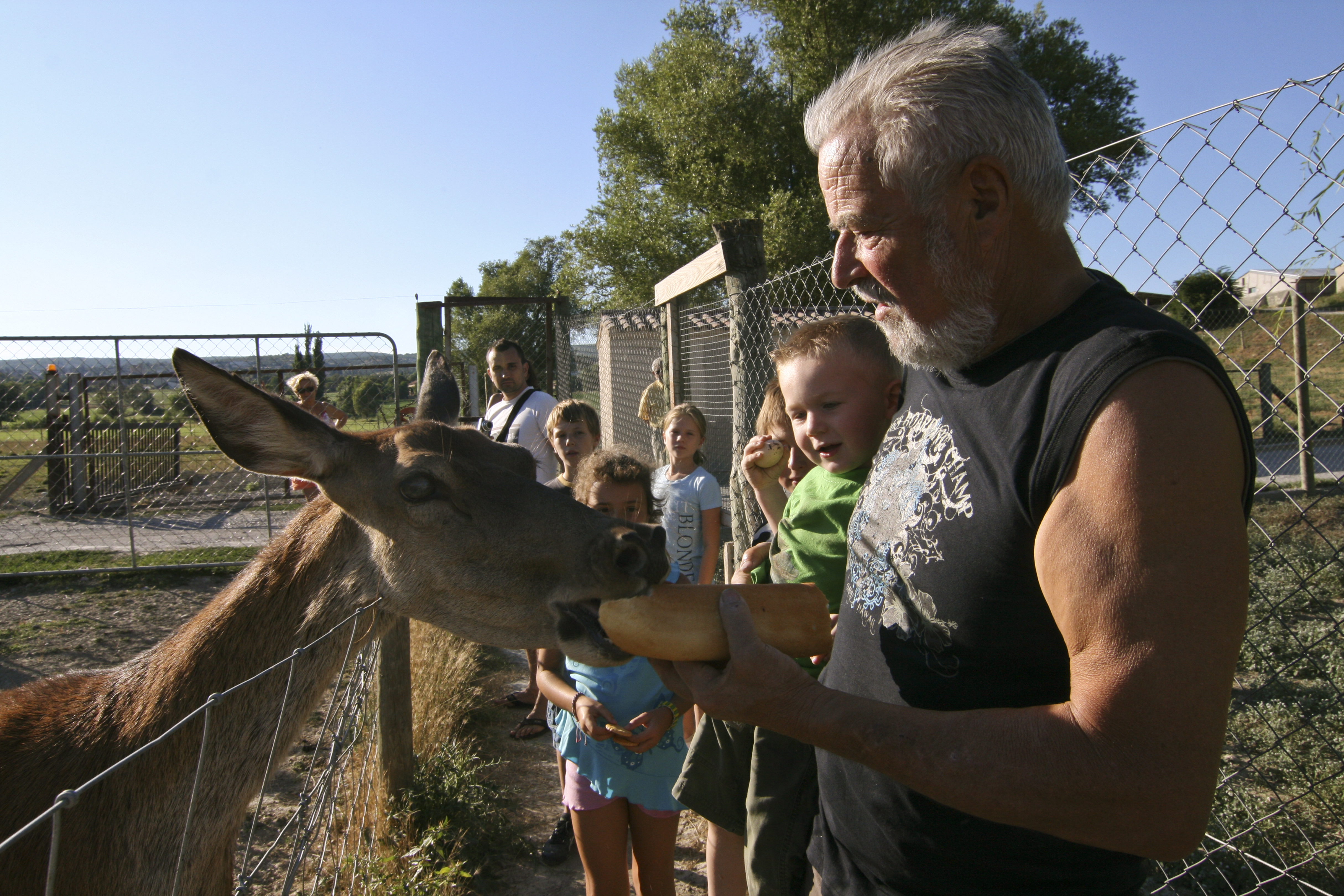 henri et les animaux