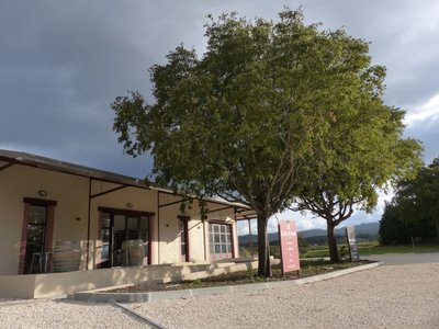 Les Caves des Collines Vignerons et Brasseurs_Vaison-la-Romaine