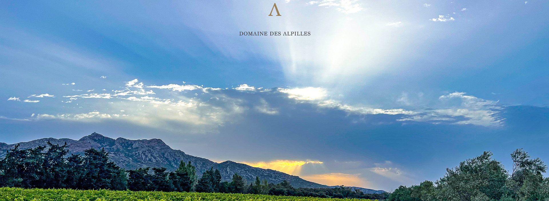 Domaine des Alpilles_Aureille