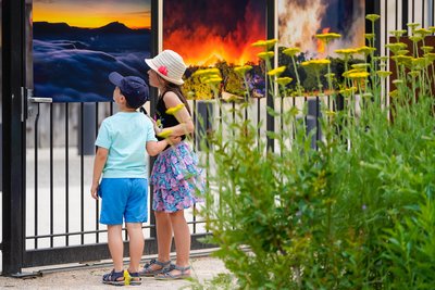 Jardin Charles Gaou - Brignoles