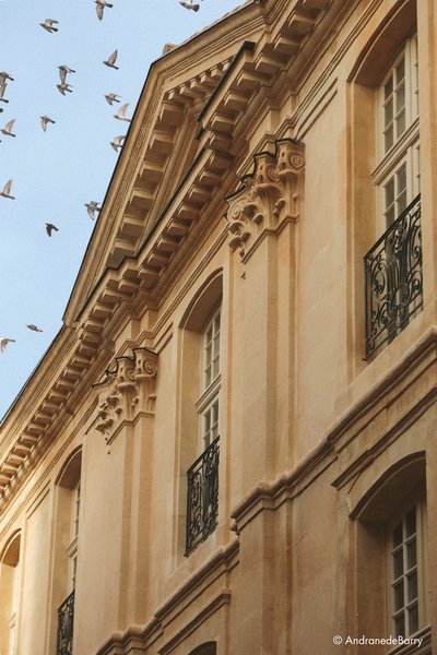 Musée de la mode et du costume - Fragonard_Arles