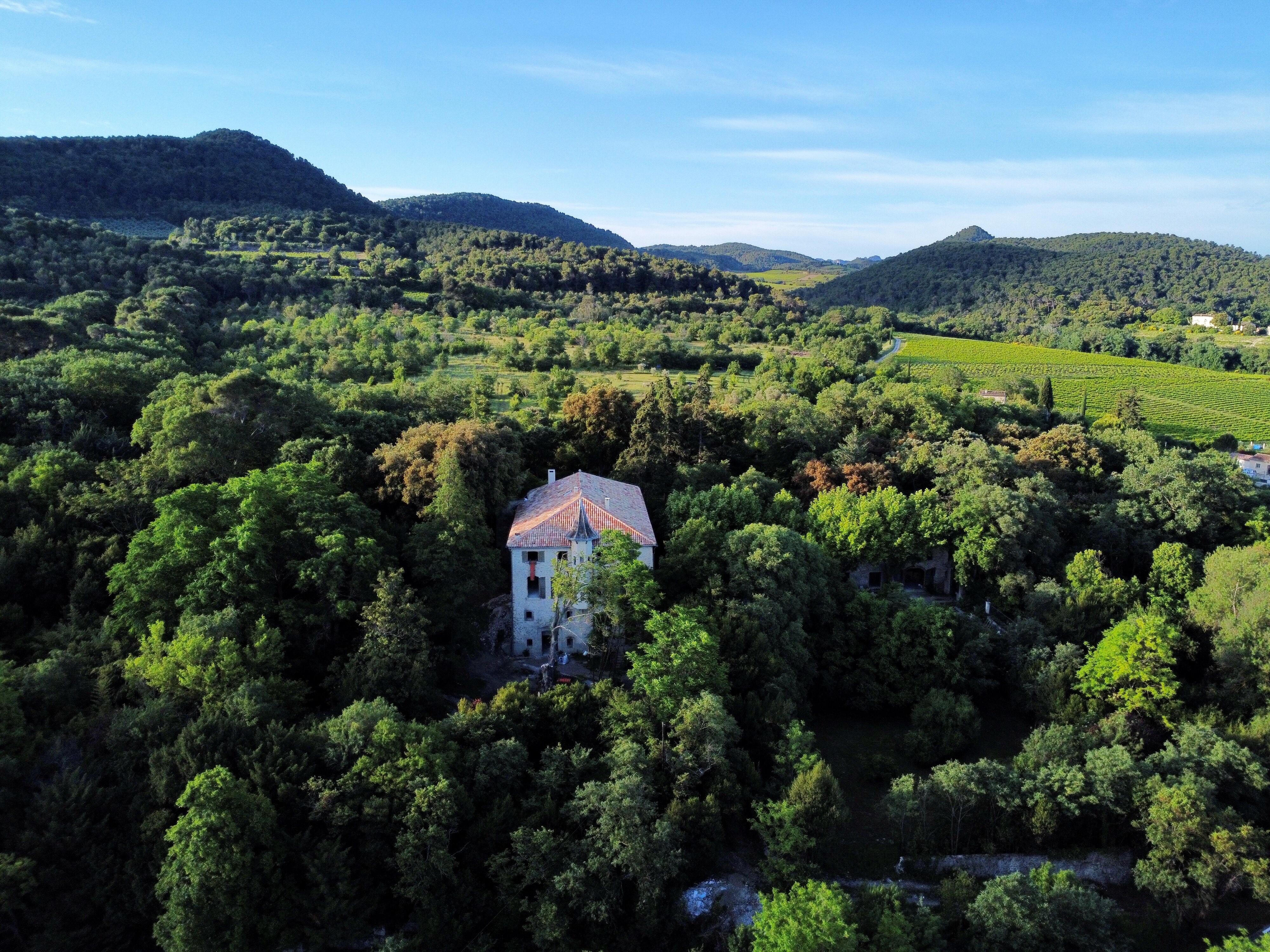 Le Domaine Daulone donne directement sur le parc des Dentelles de Montmirail et du Mont Ventoux