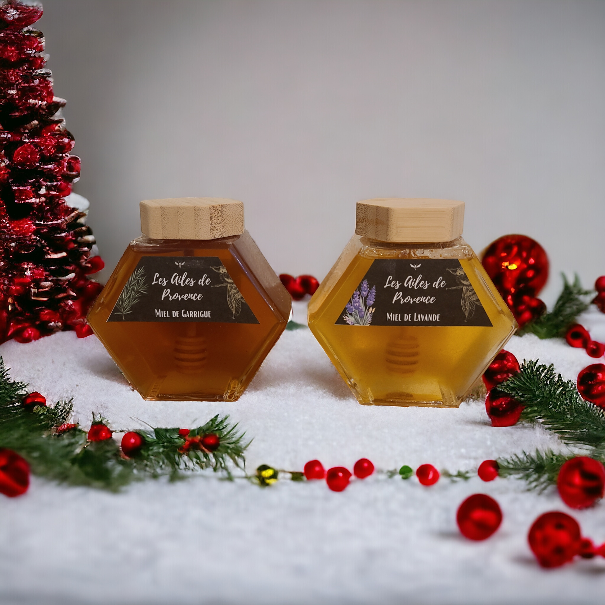 Les Ailes de Provence_Mazaugues