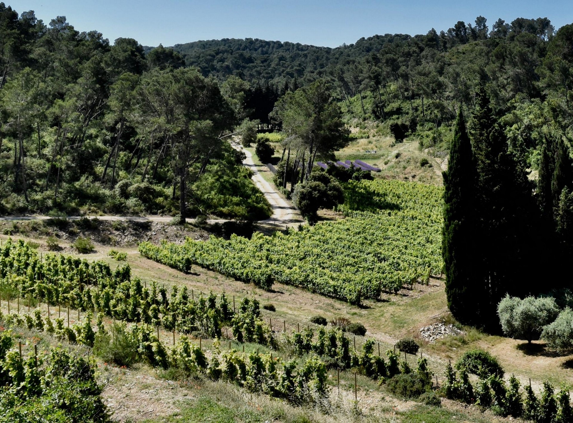 Domaine Mas de Bret_Saint-Étienne-du-Grès
