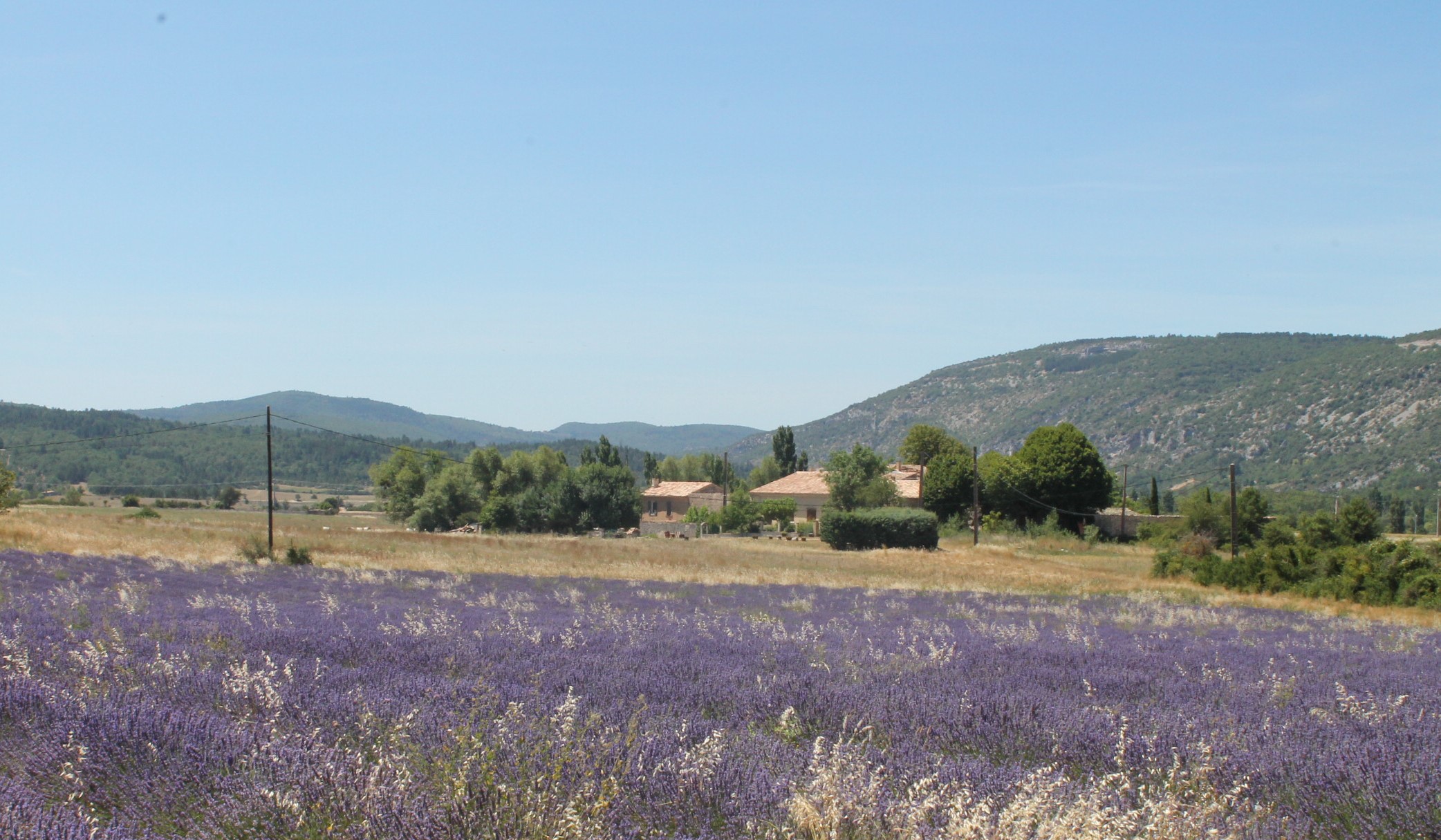 la ferme vue de la route