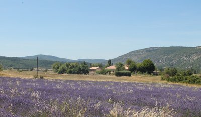 la ferme vue de la route