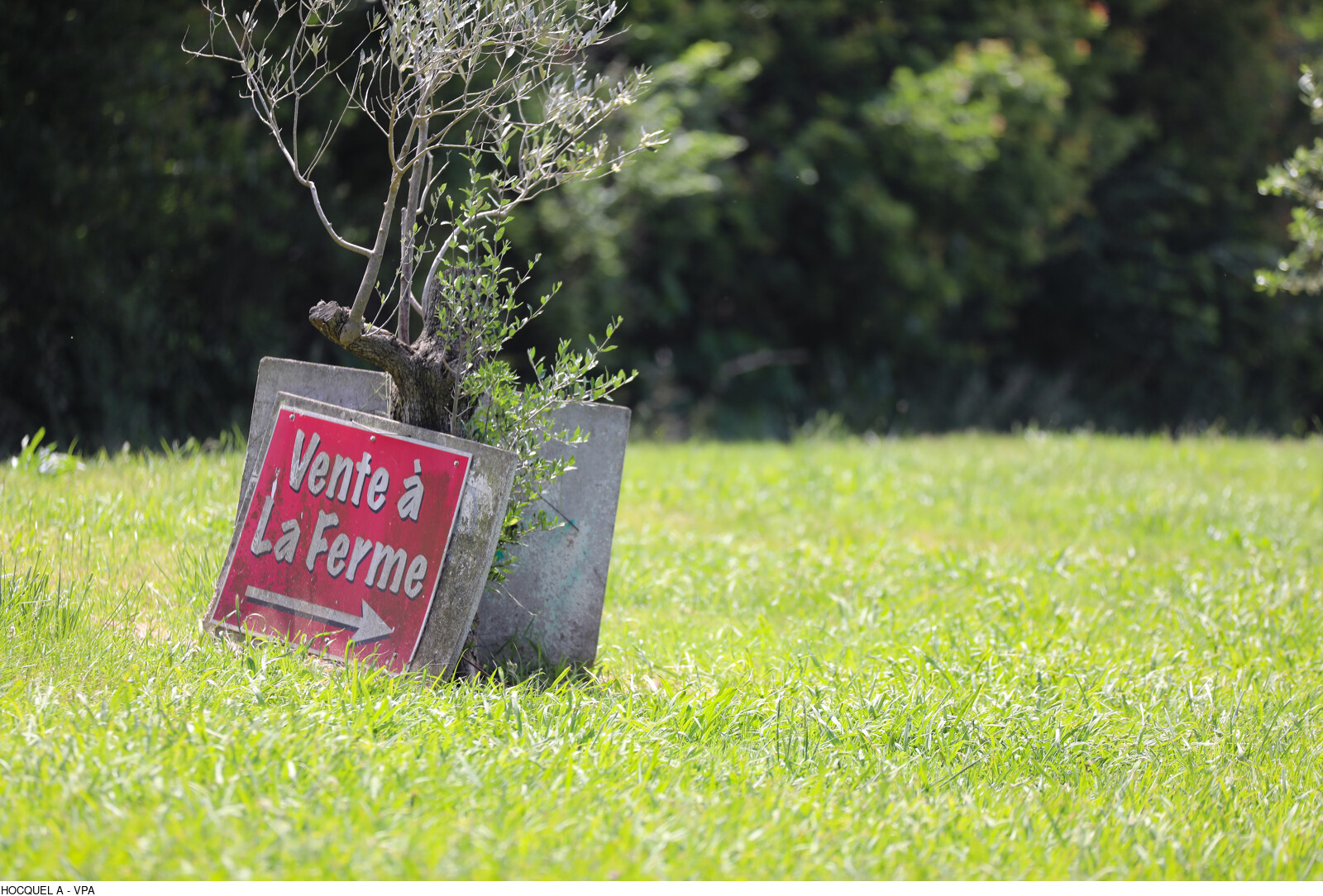 Ferme de la Mirayette_Pernes-les-Fontaines