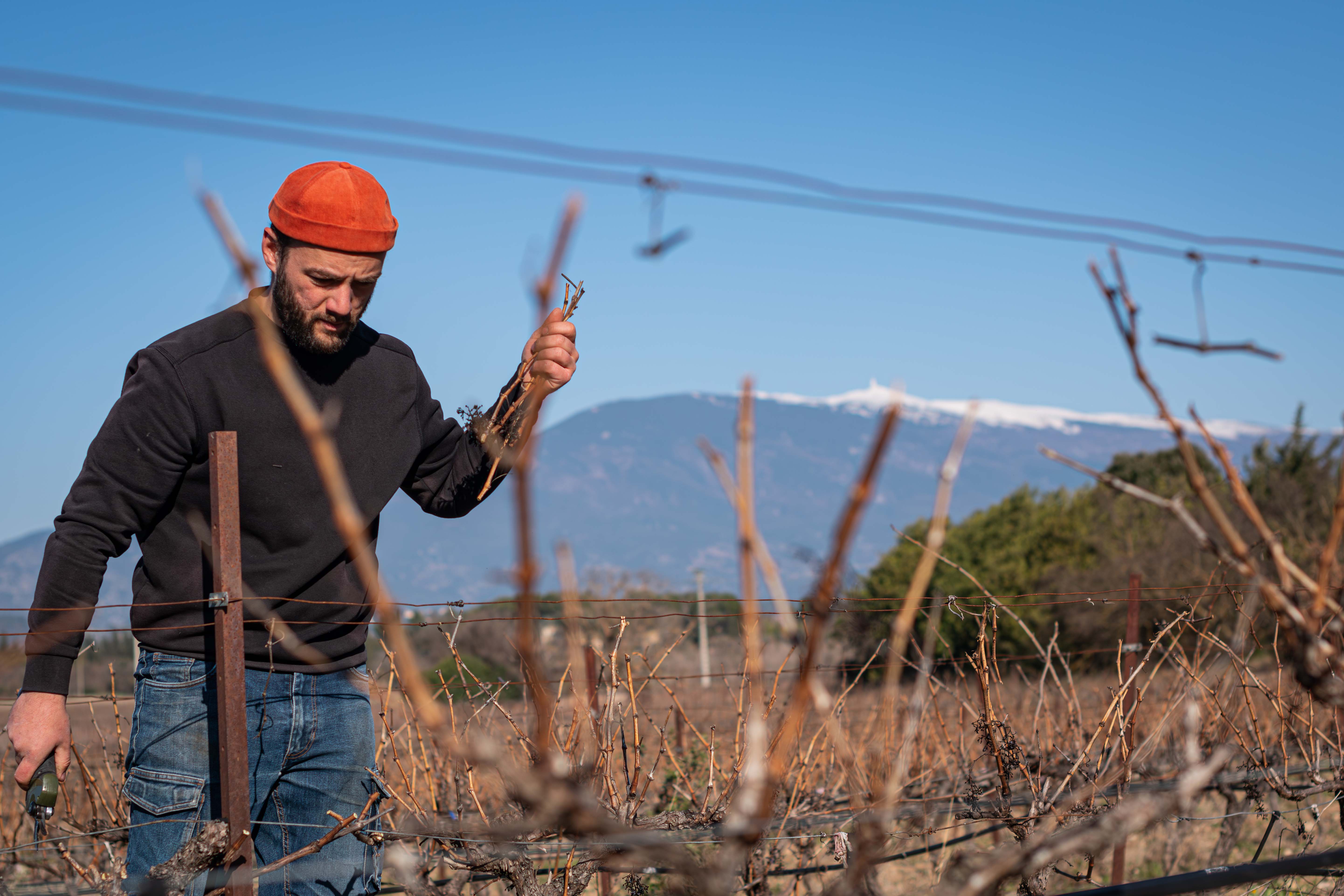 Domaine Félys - François REYNAUD