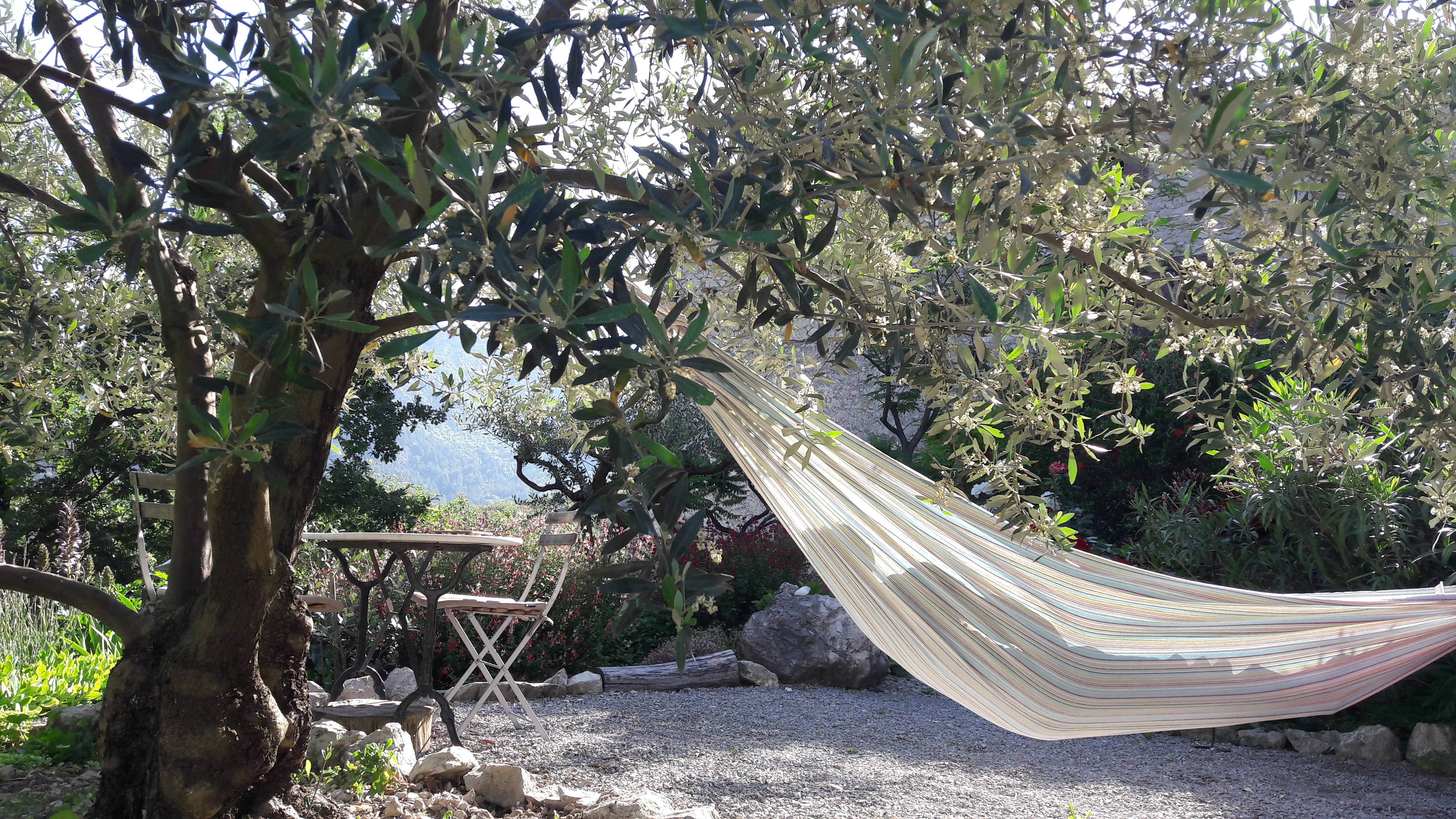 Le hamac du salon de jardinL