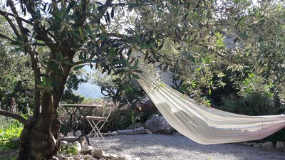 Le hamac du salon de jardinL