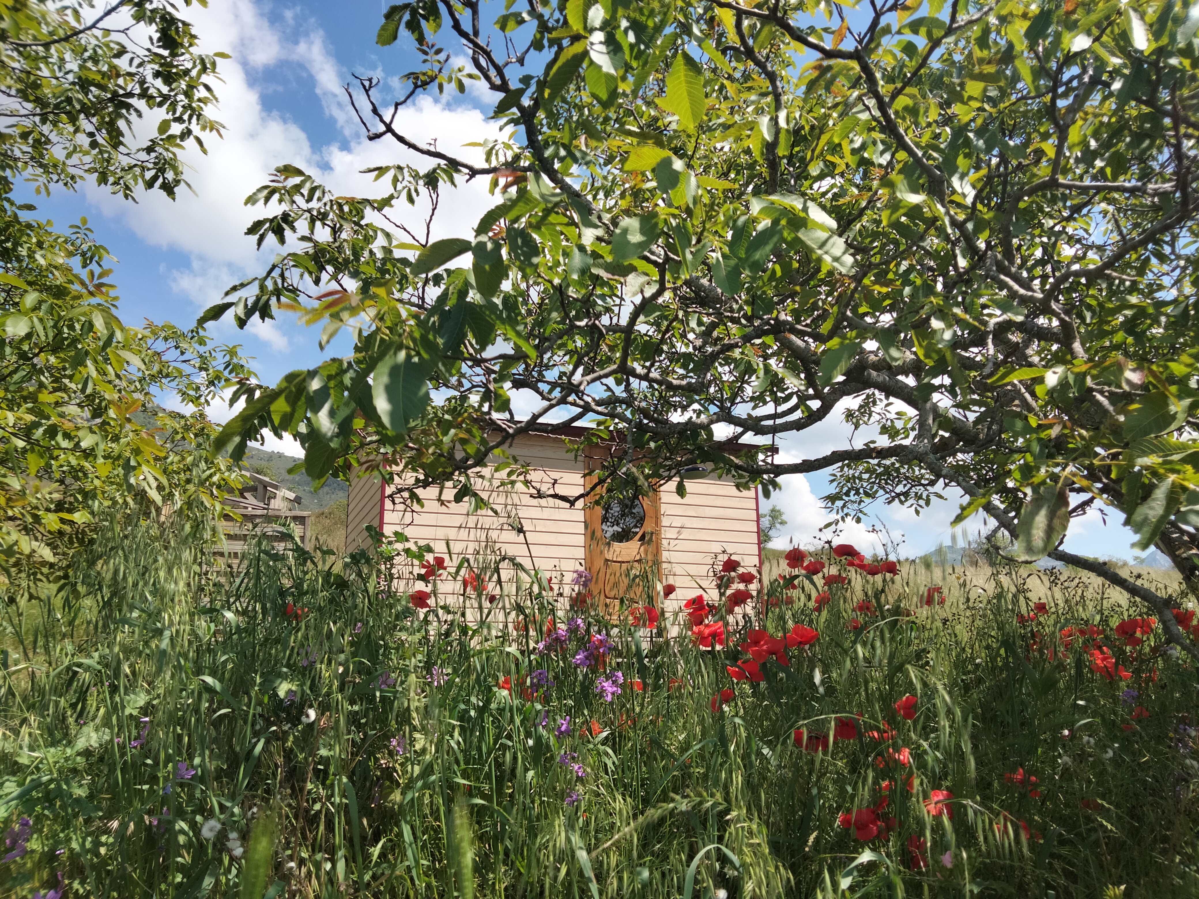La roulotte au printemps