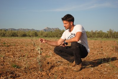 Amouriès - Domaine Delabarre Mouriès producteur Lucas