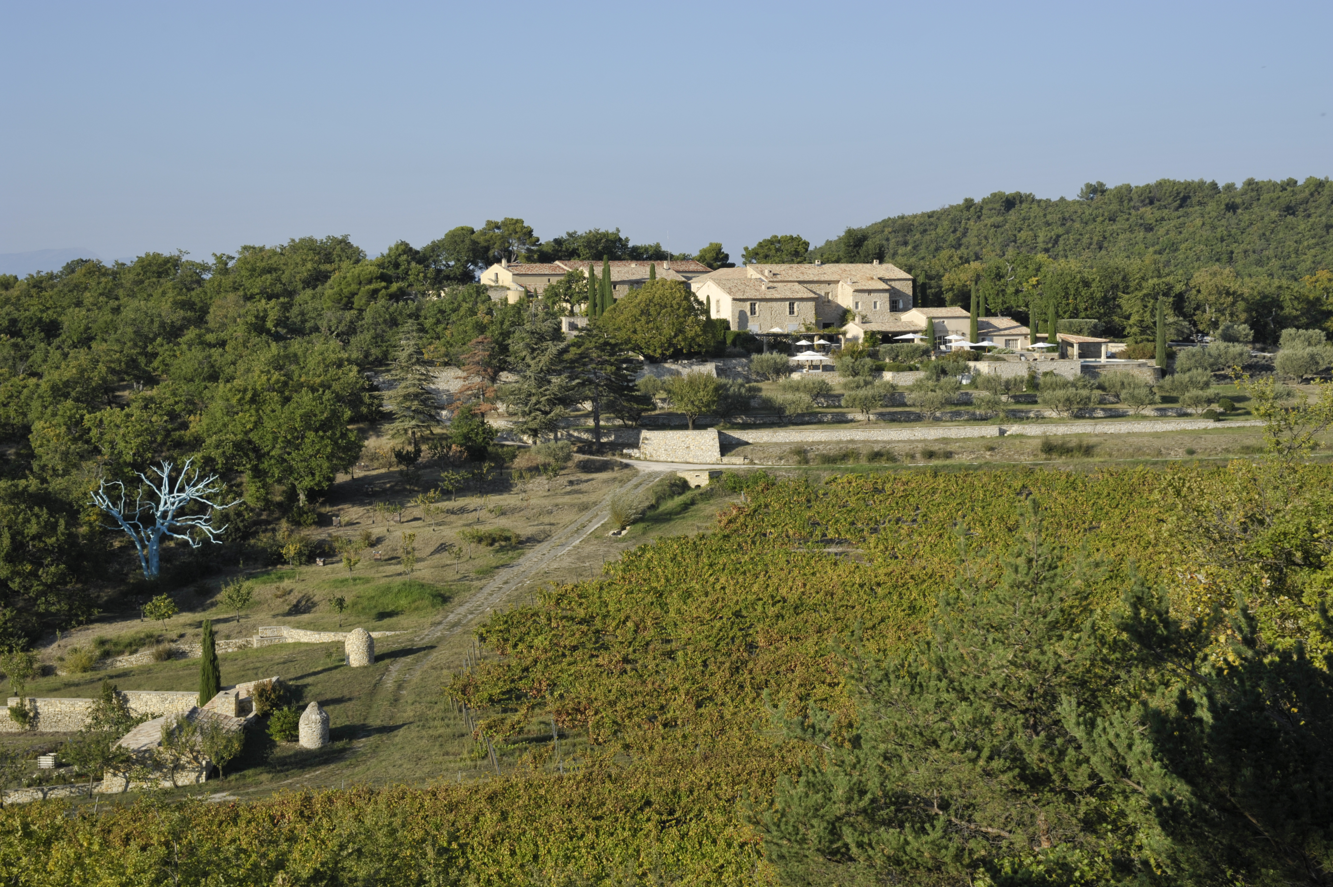 Un Prieuré médiéval au milieu des vignes